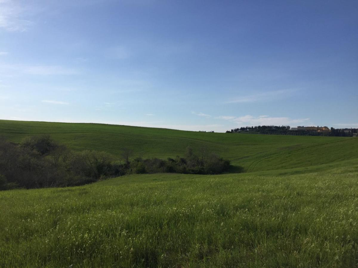 Agriturismo San Leone فولتيرا المظهر الخارجي الصورة